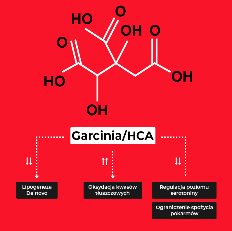 Mazin - budowa chemiczna Garcinia/Hca